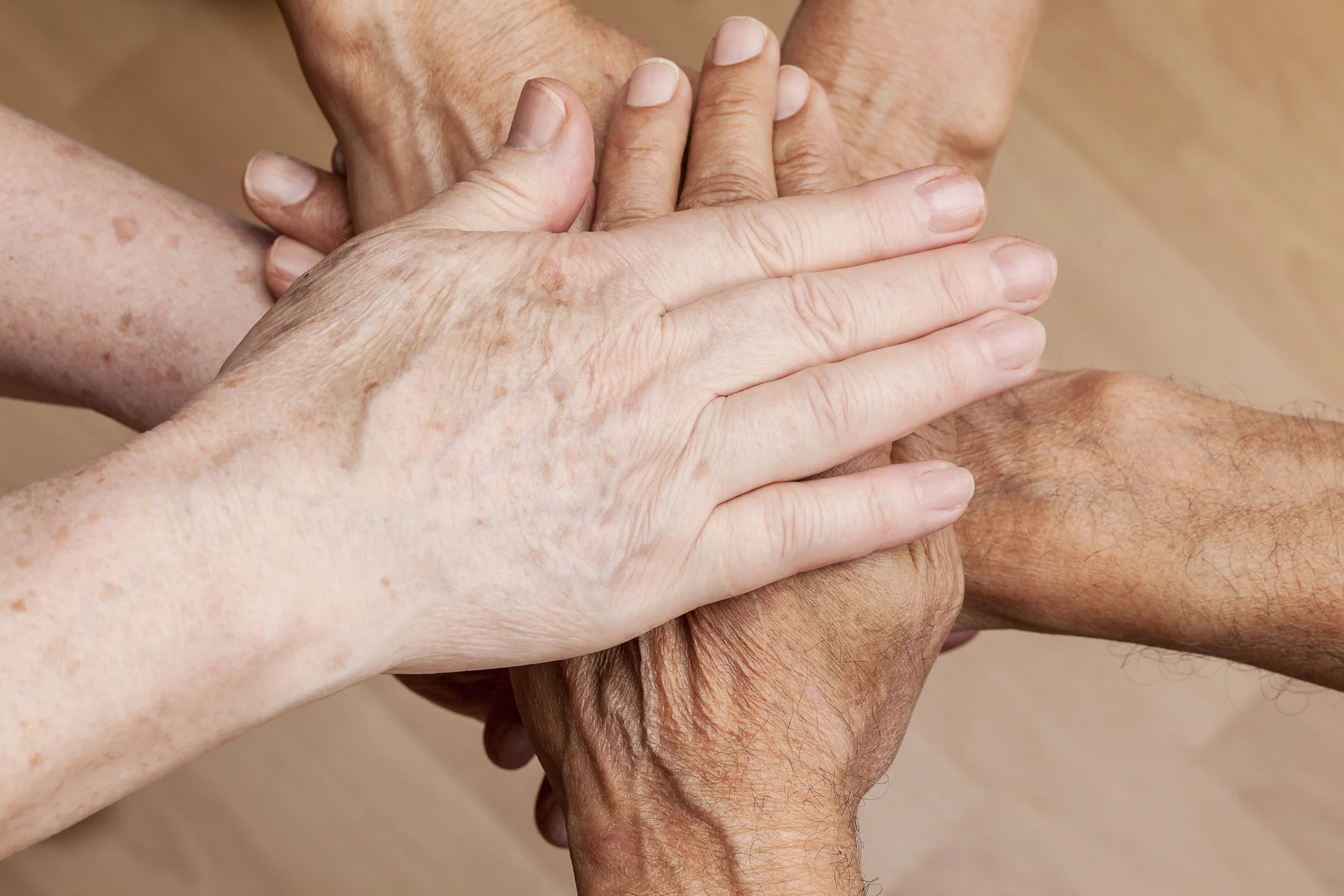 Edgemont Incorporation Committee 2016 Year-End Status Report