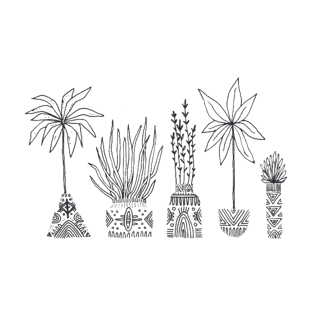 plants.png