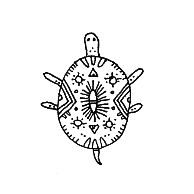 turtle.png