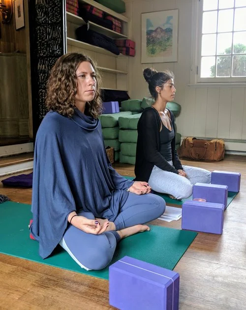 What is yoga therapy?