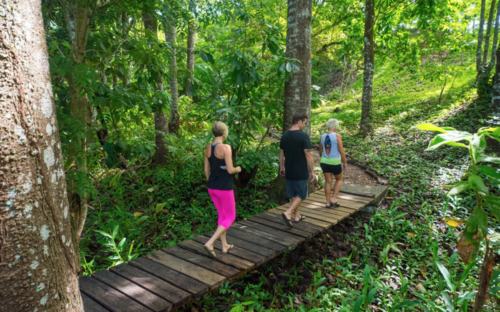 Do your 200 hour ytt in a rainforest