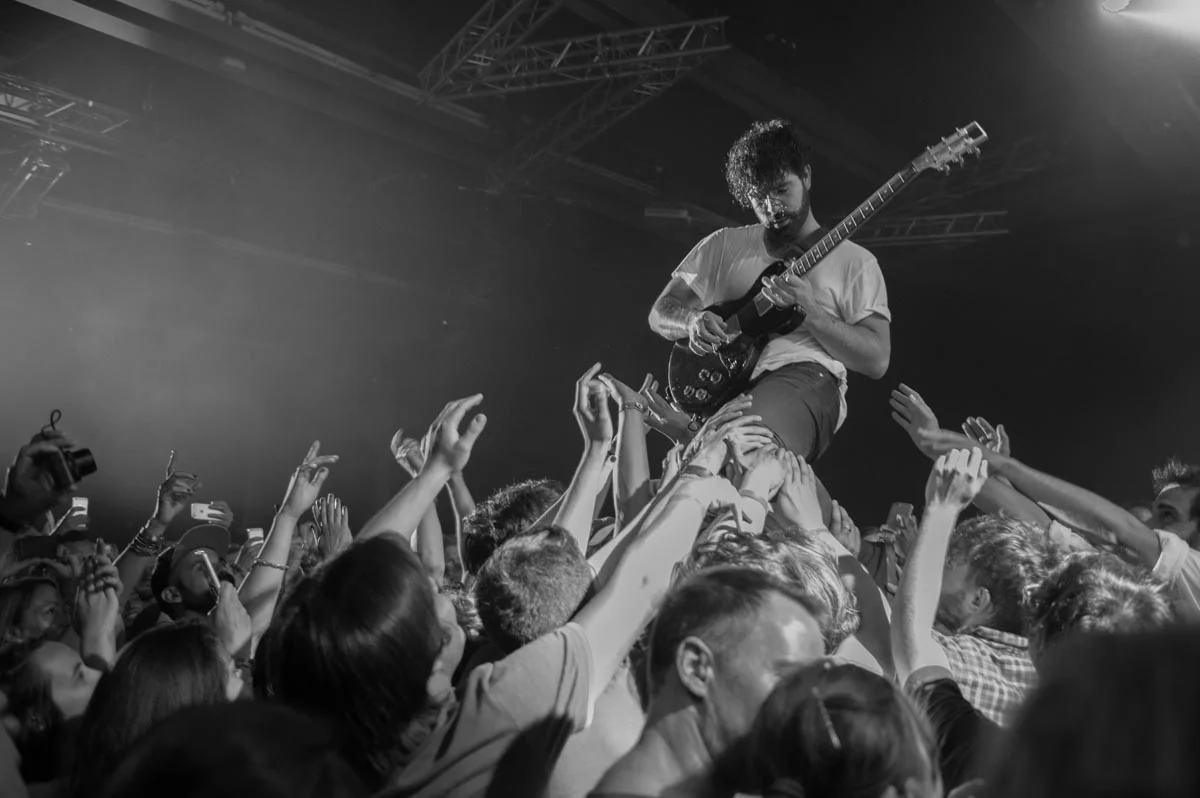Foals
