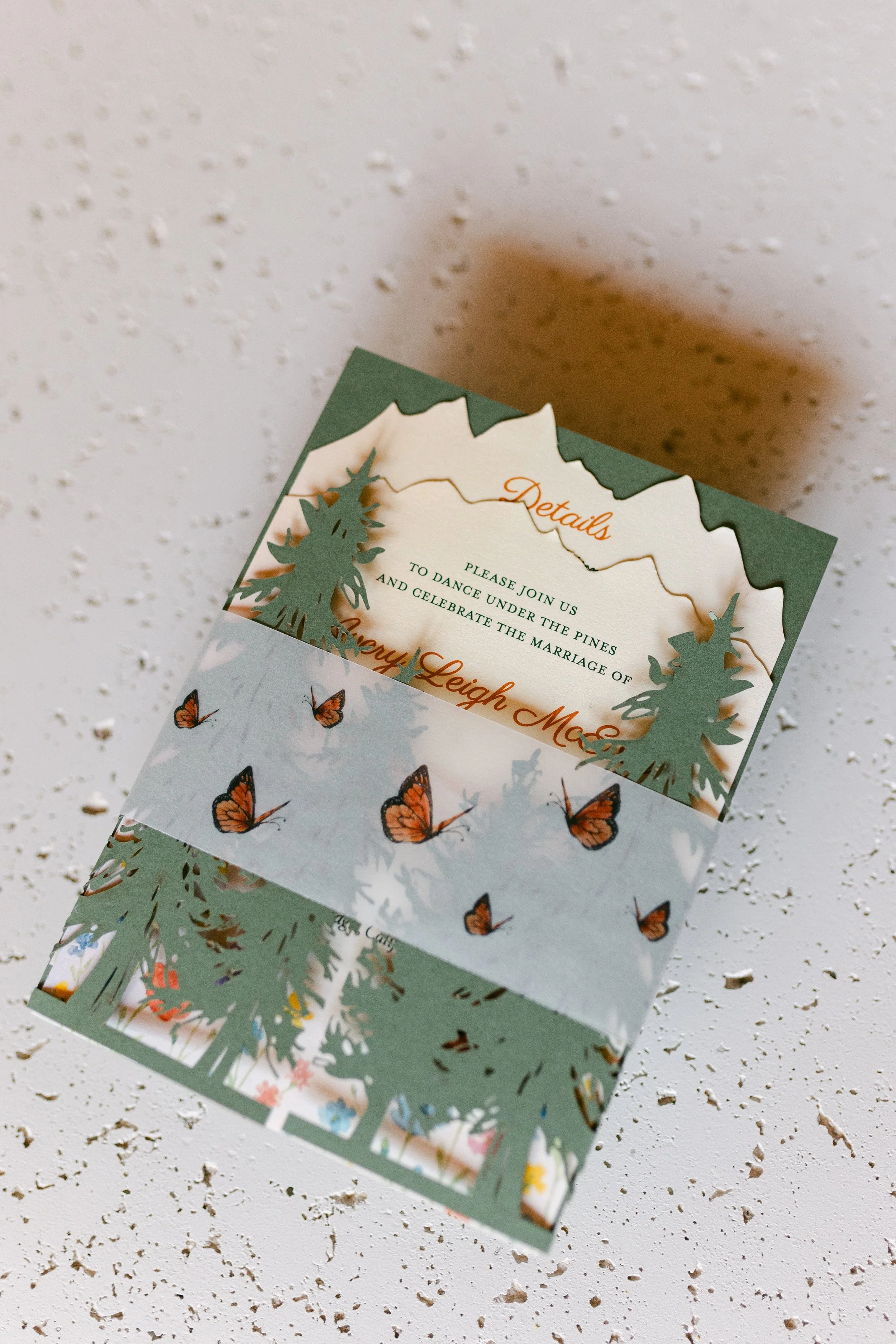 a&t - wedding-8 (1).jpg