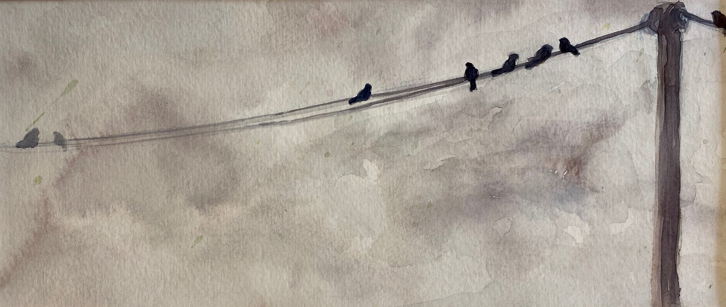 Birds on a Line Watercolor