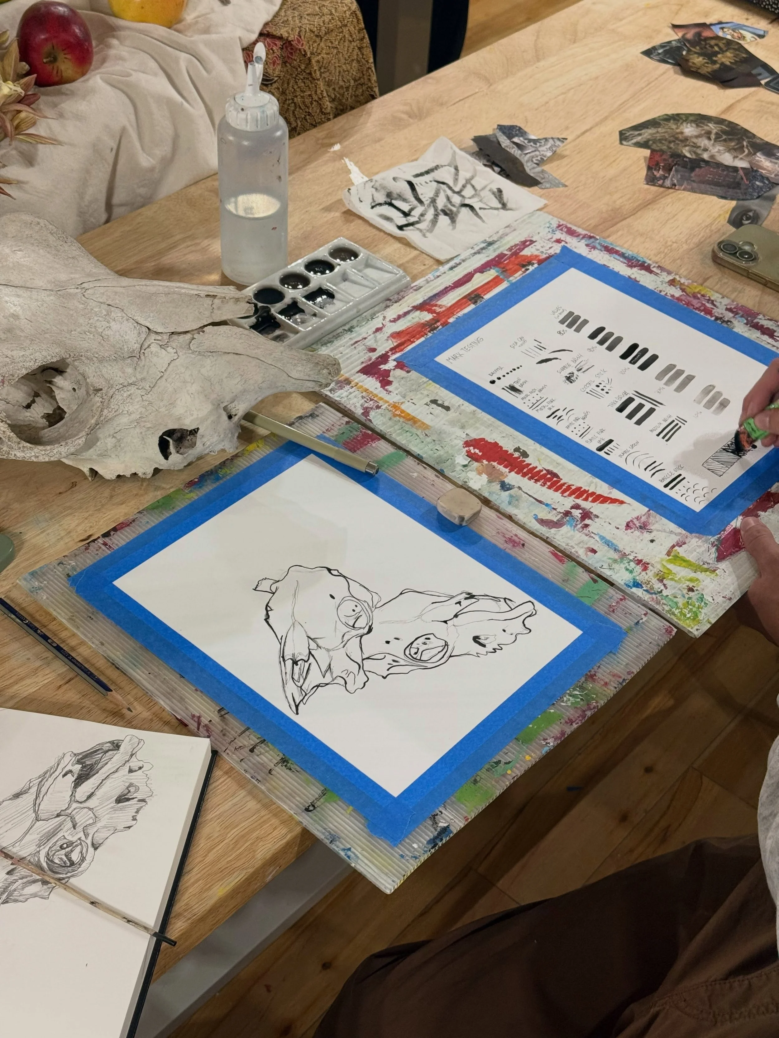 Teen Advanced Exploration &amp; Portfolio Building Class