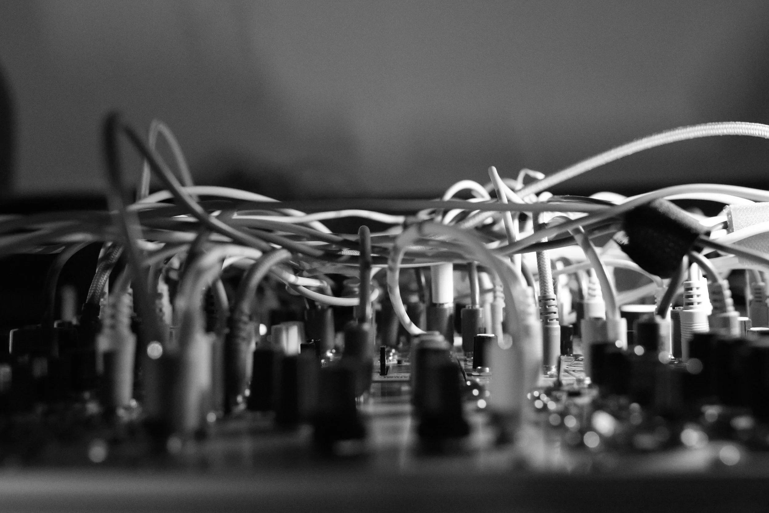 DT2A7437.jpg