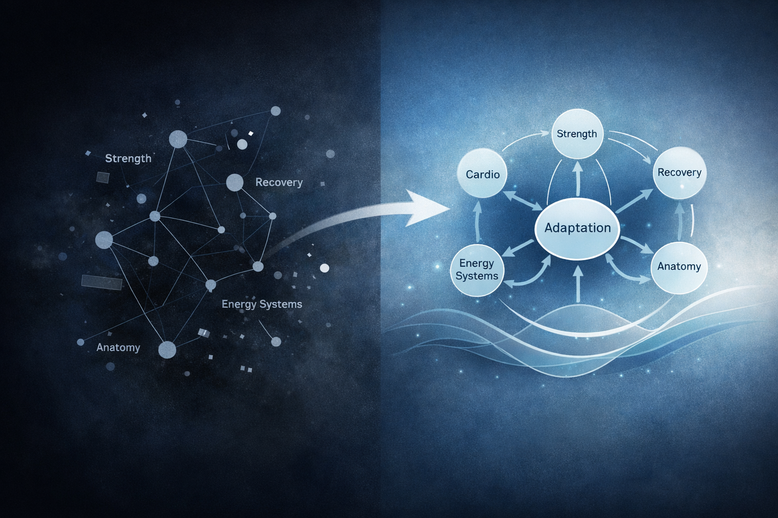 Planting the Seeds of Longevity