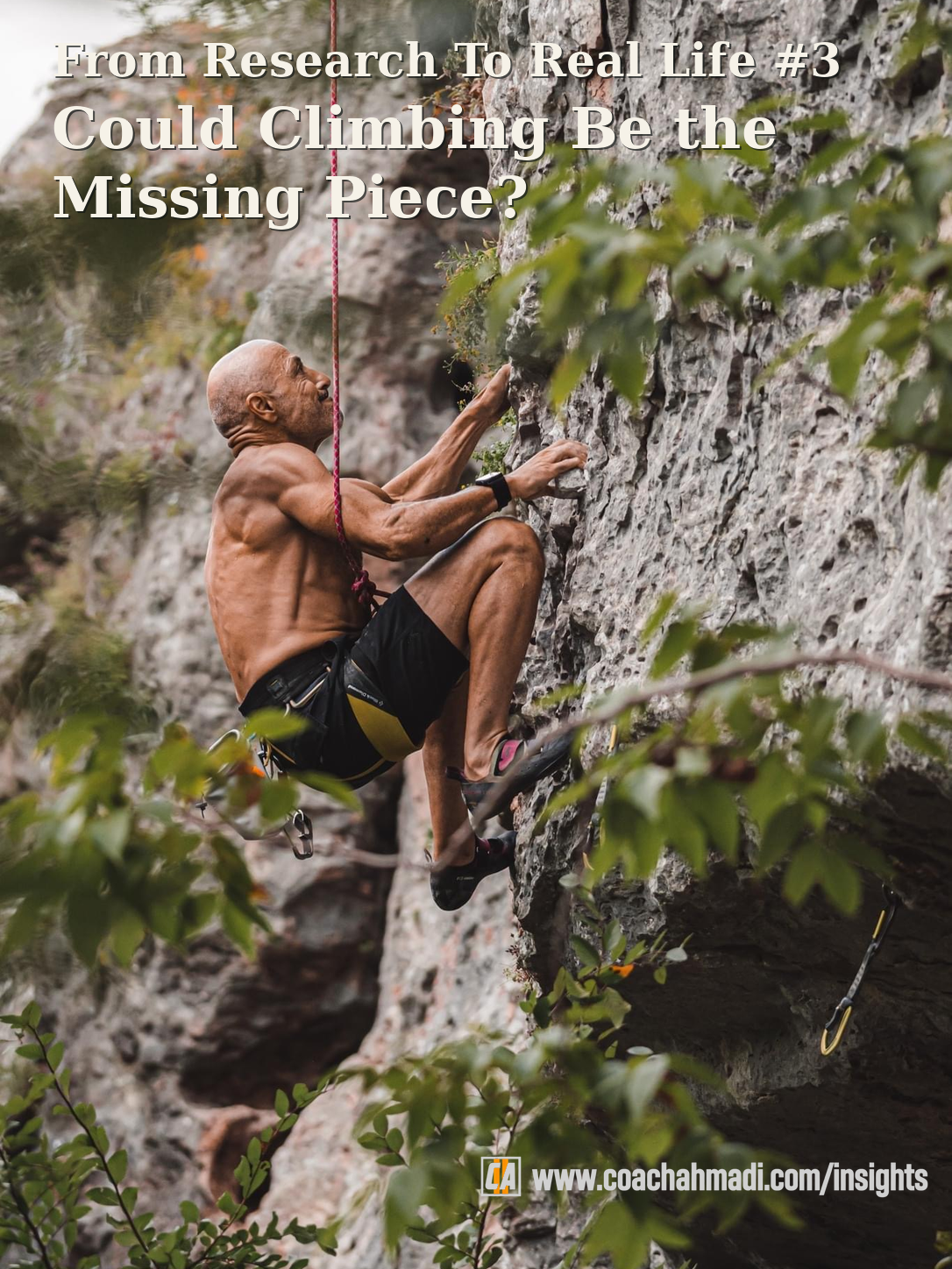 FRTRL#3 — From Research To Real Life — Could Climbing Be the Missing Piece in Your Performance and Longevity Plan?