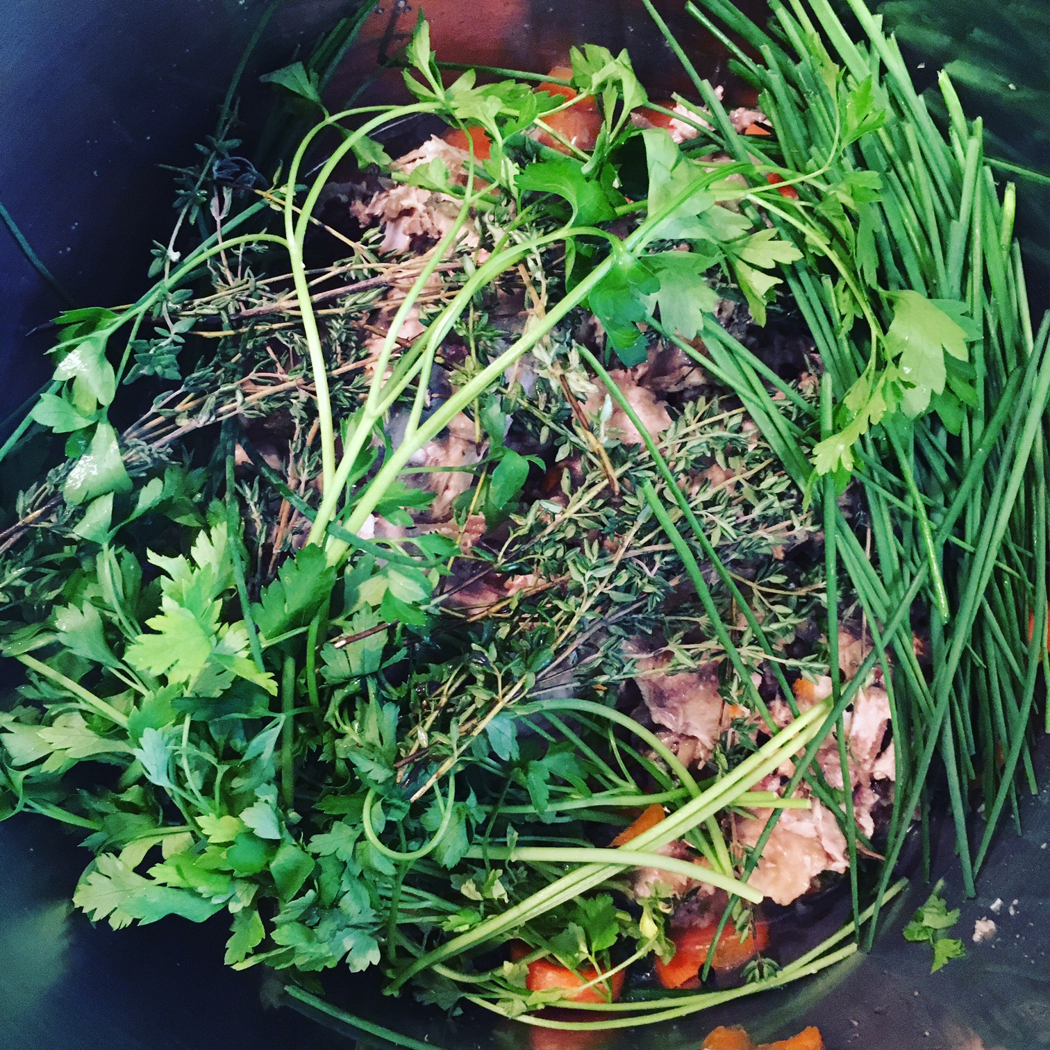 Turkey stock is go!