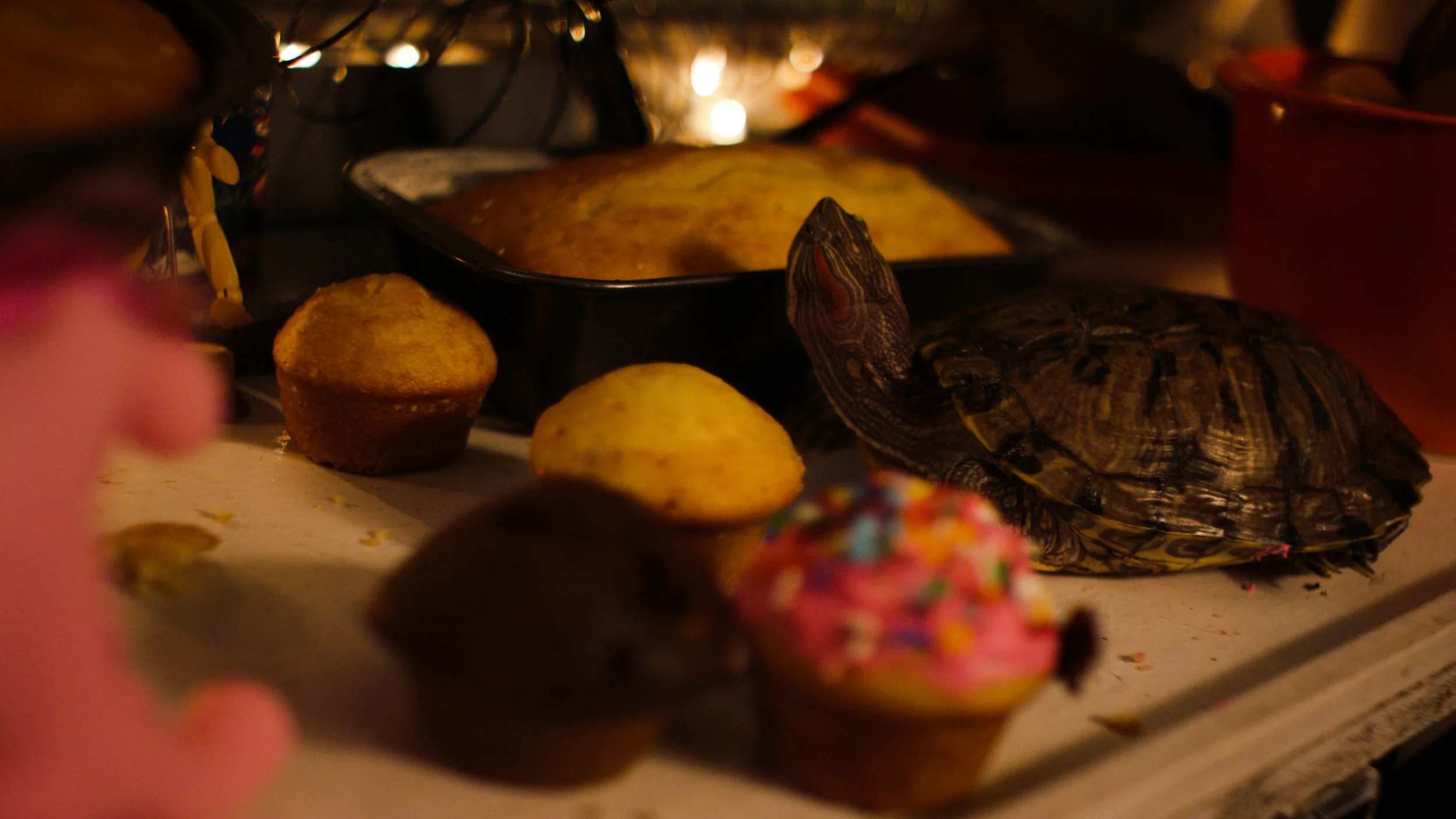 Goodbye_Dorrit_Small-11.jpg