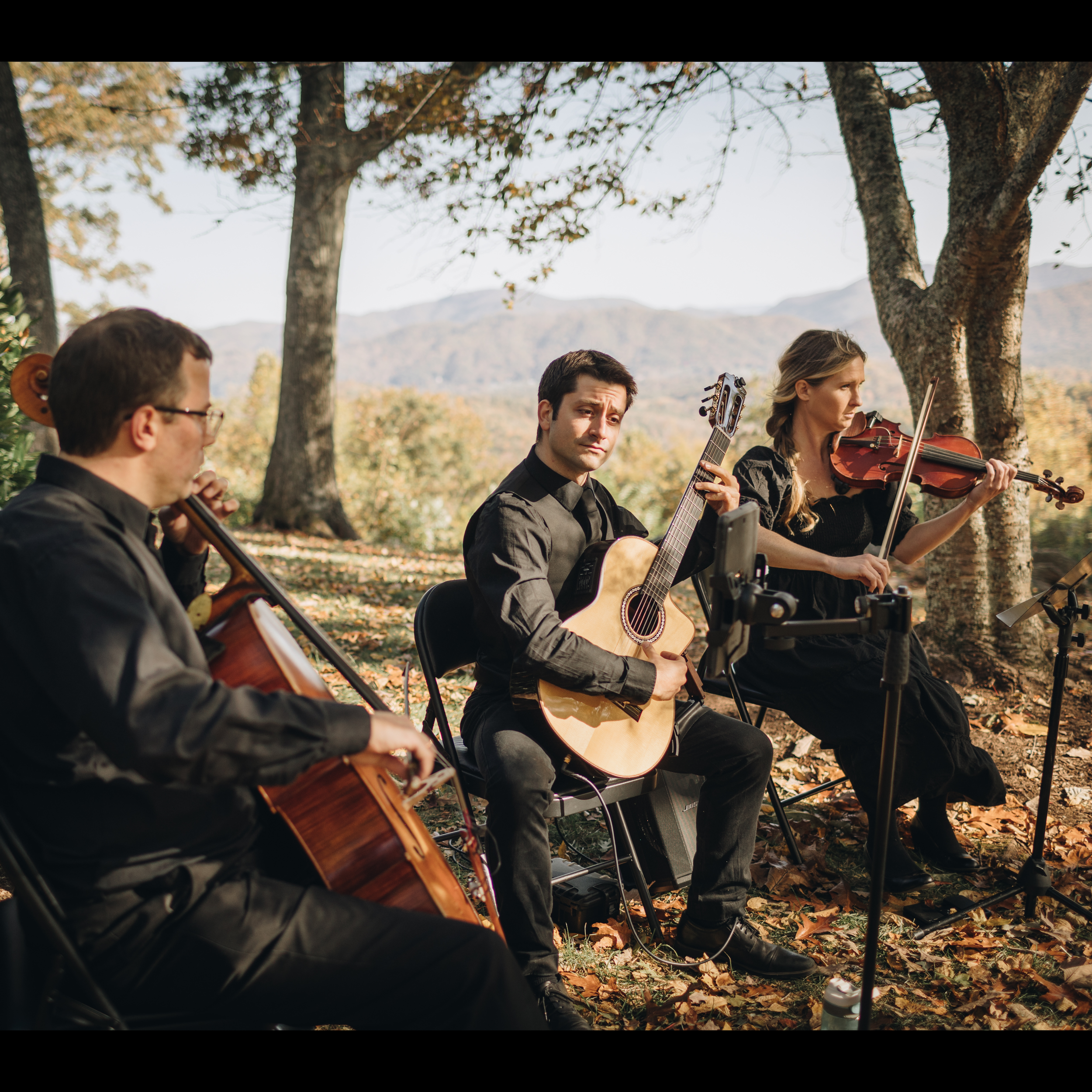 Asheville musician Sam Irvin performing live