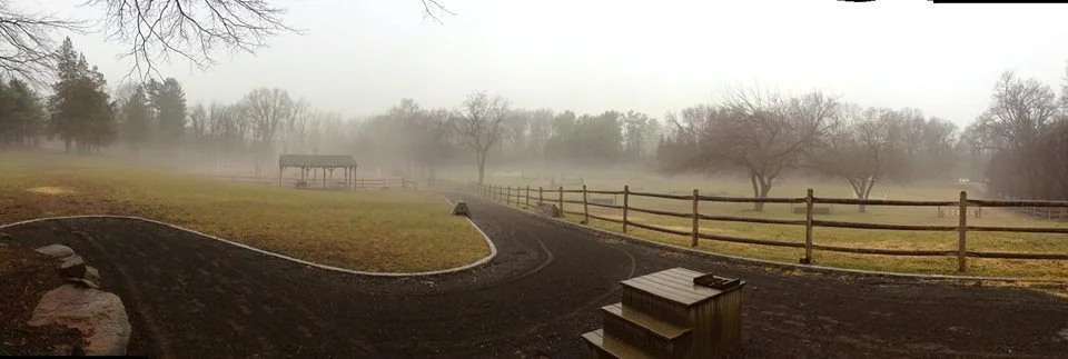 foggy.jpg
