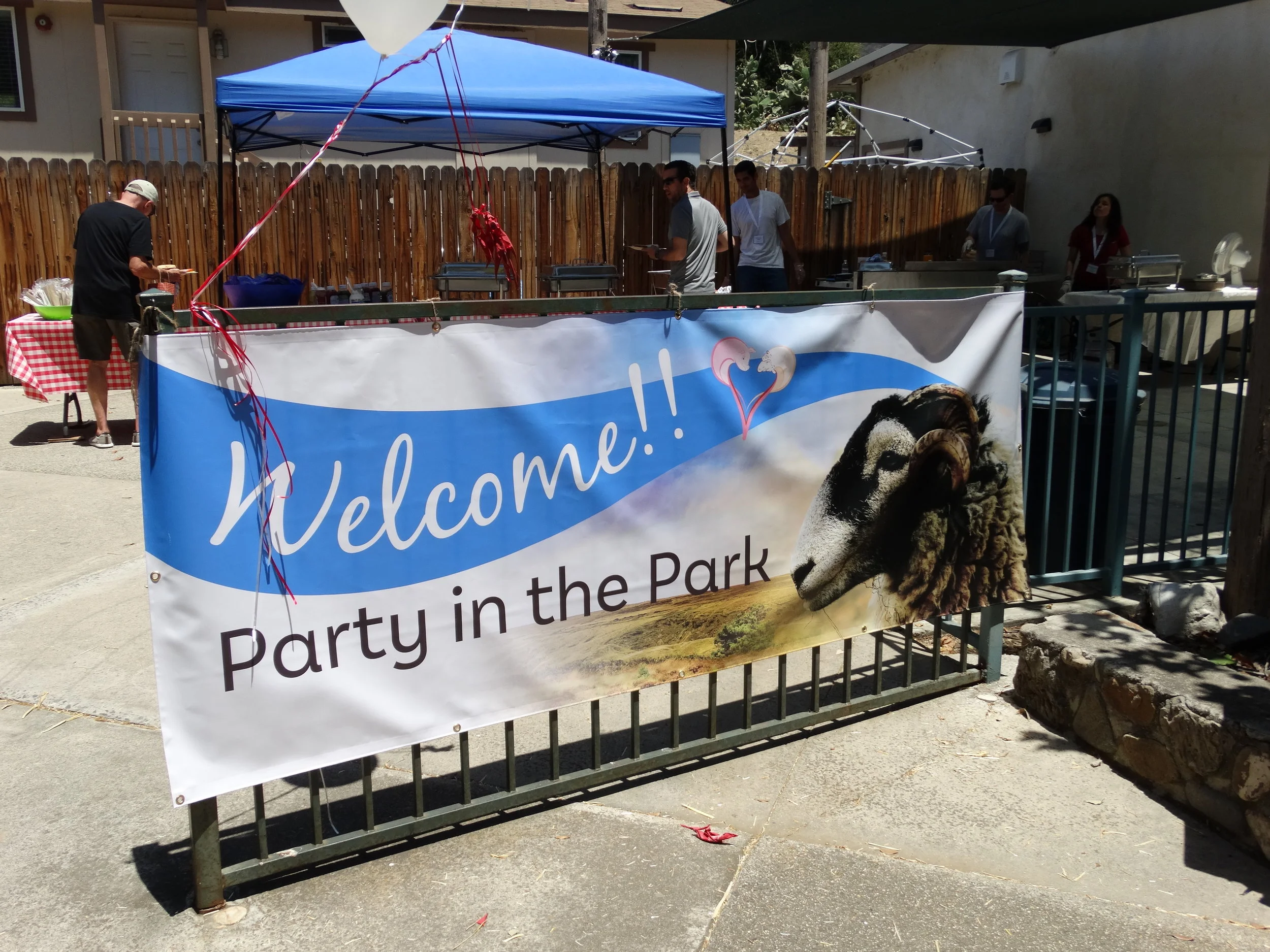 Our Summer Fundraiser - A Huge Leap Forward for the Future of LFS