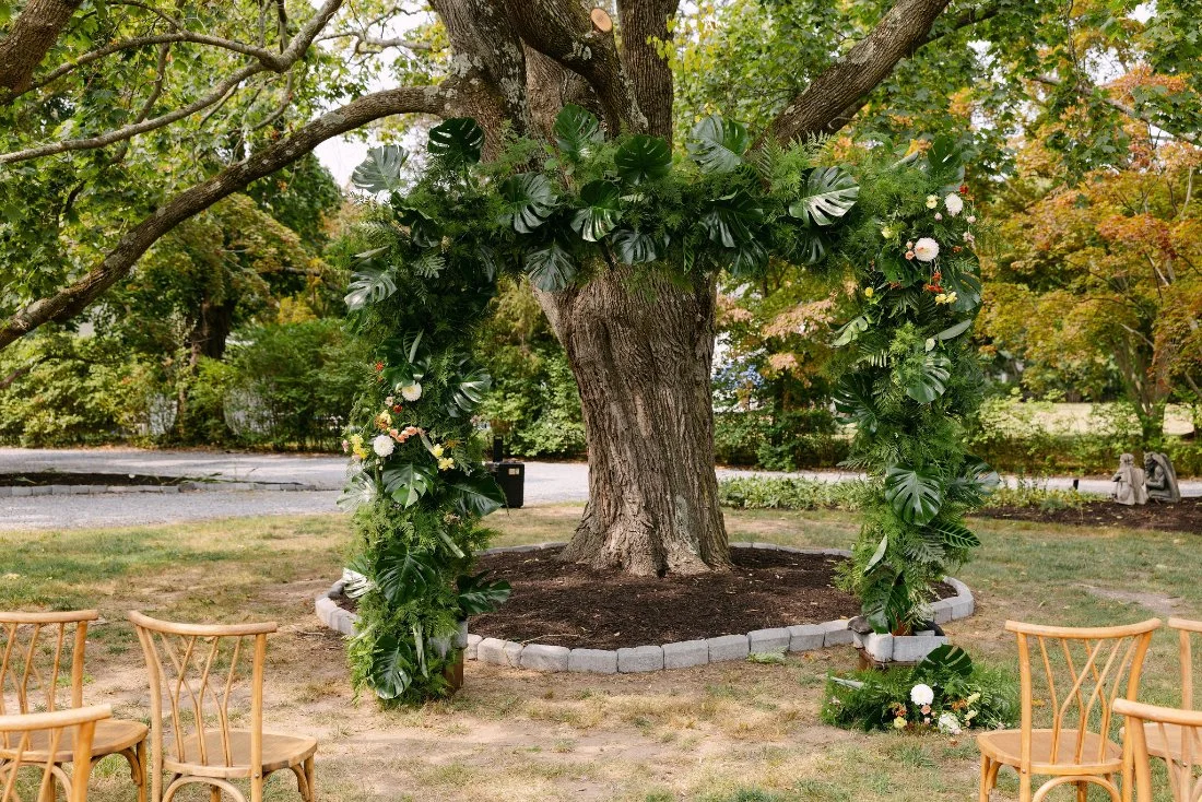 Tropical greenery arch installed around a large tree for outdoor wedding ceremony in New York