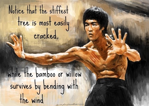 Thanks Bruce Lee