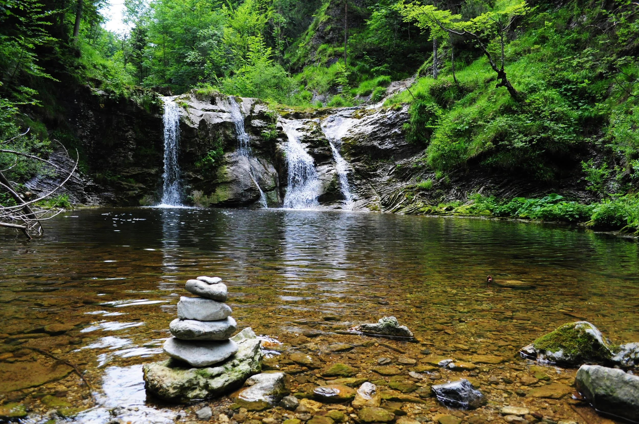 creek-environment-flow-949194.jpg