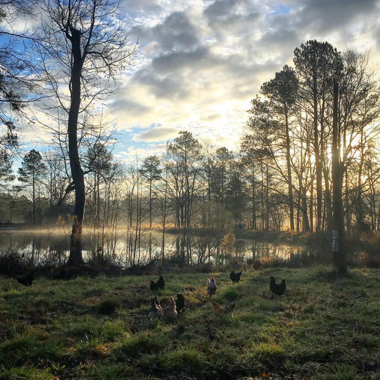 Screen Shot 2017-08-20 at 4.29.21 PM.png