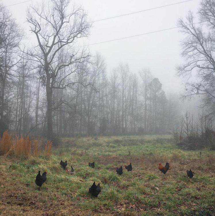 Screen Shot 2017-08-20 at 4.30.07 PM.png