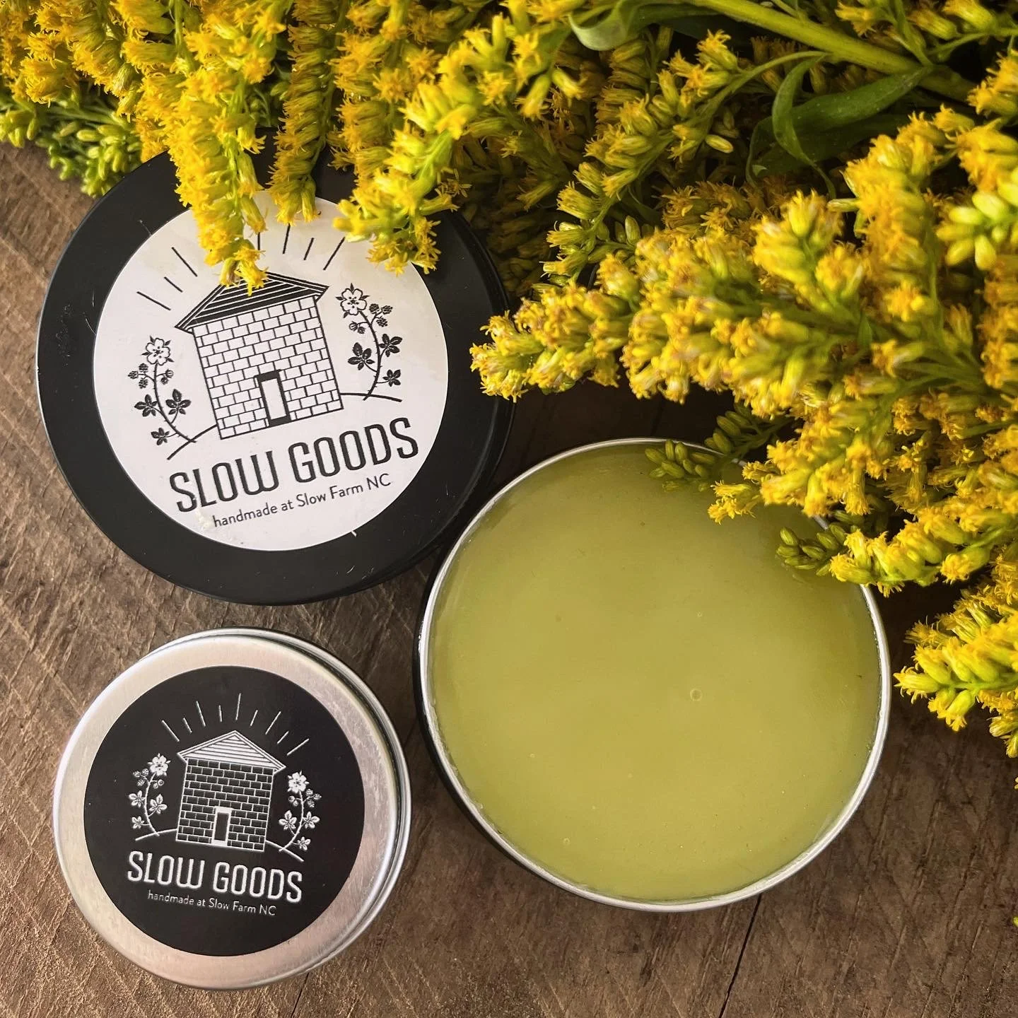 FAN FAV! Goldenrod Salve