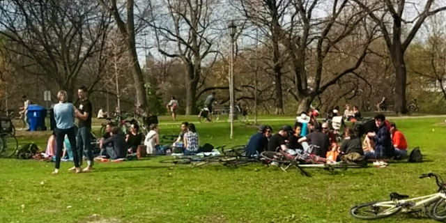 Trinity Bellwoods Park 3.png