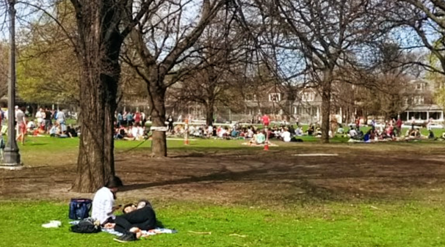 Trinity Bellwoods Park 4.png