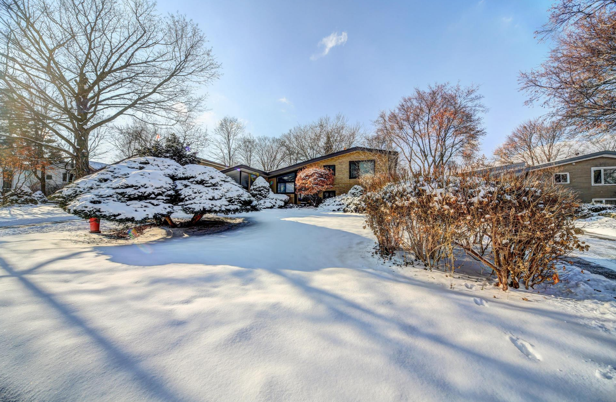 55 Jocelyn Cres 4.png
