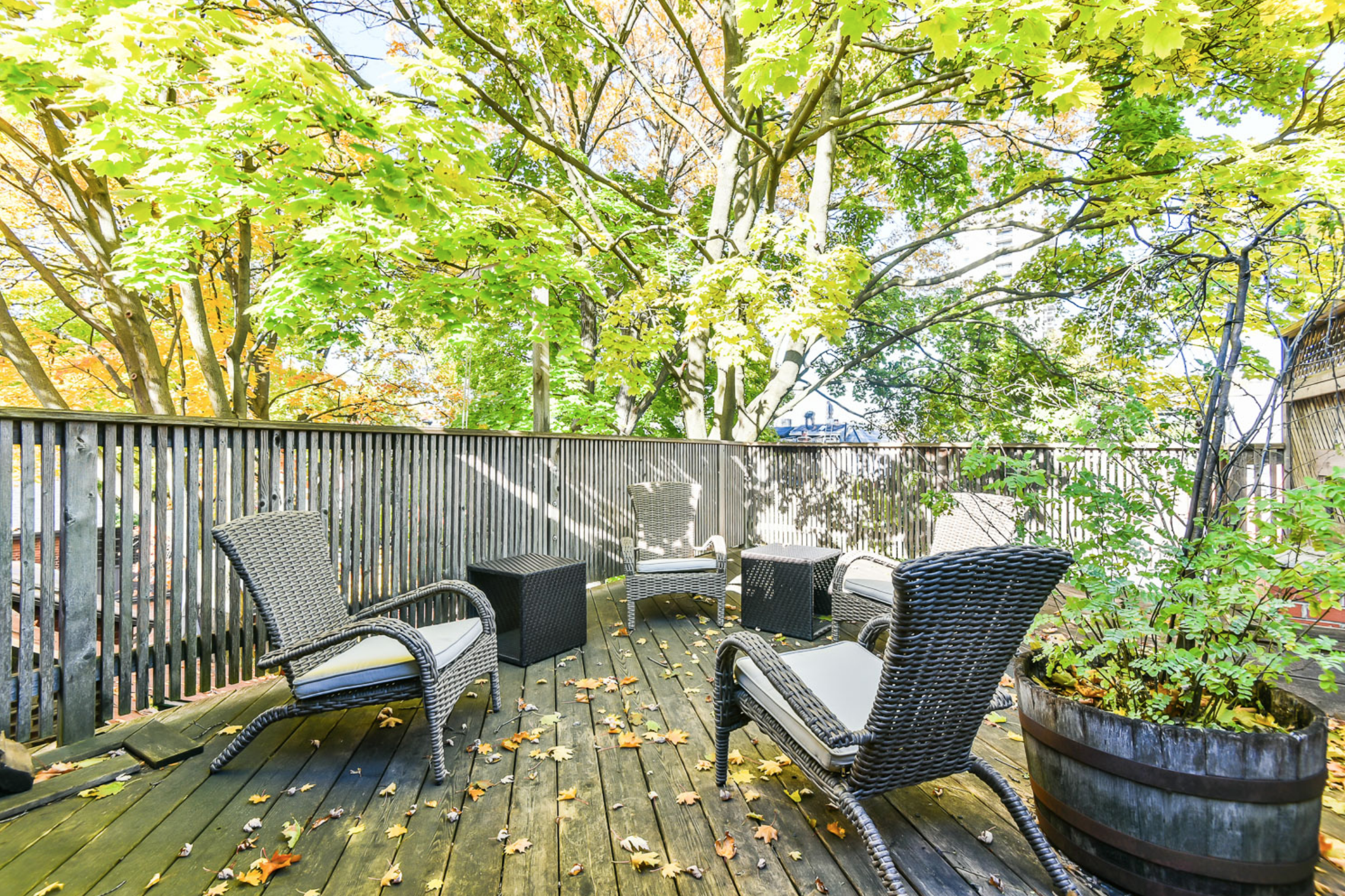 32 Tranby Ave 43.png