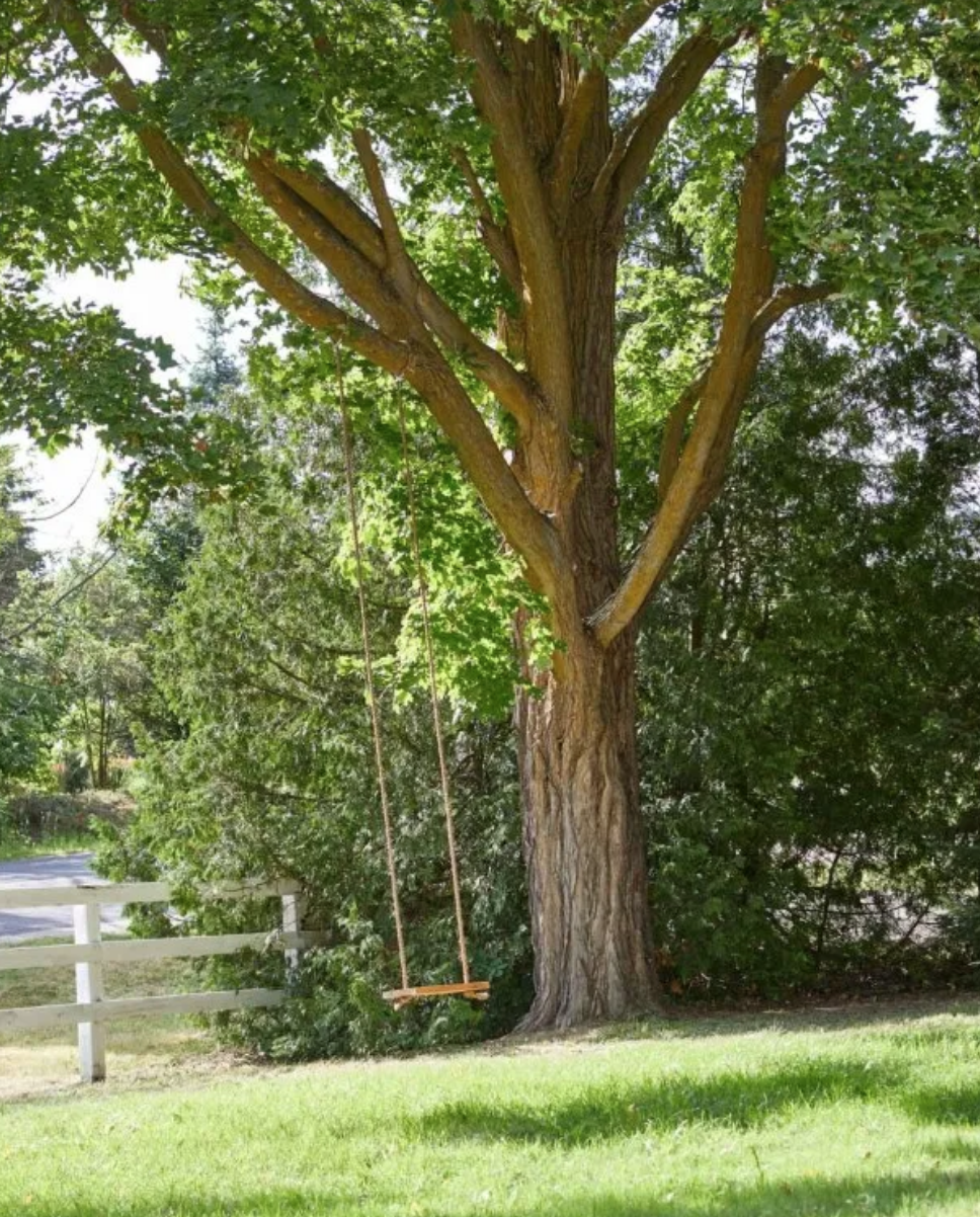 14405 8th Concession Rd 43.png