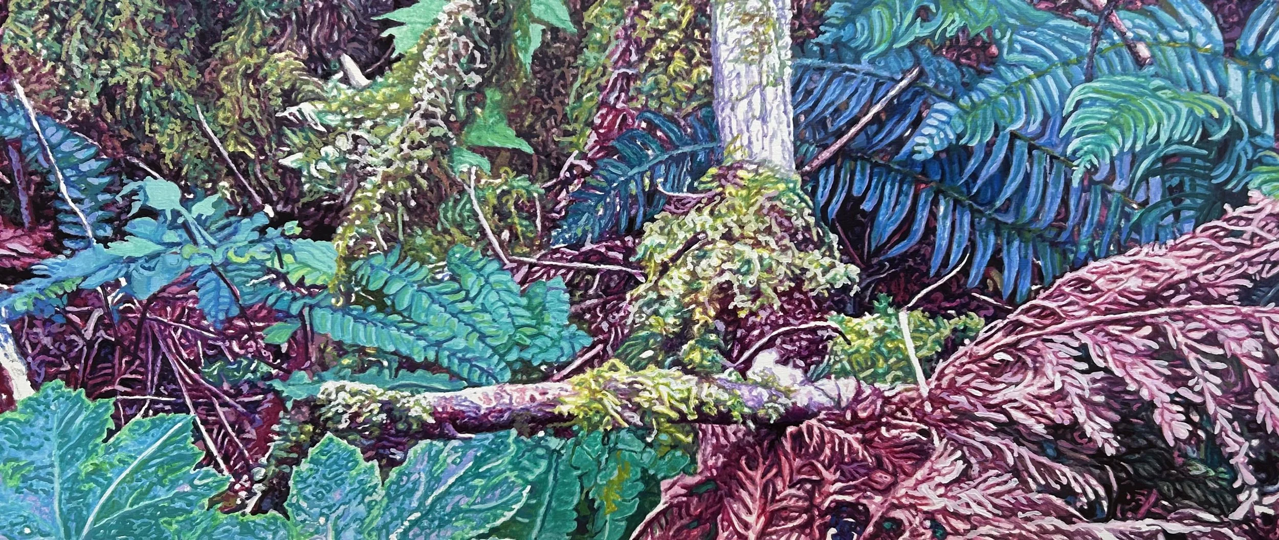 Ward Schell  | Forest Floor Ensemble