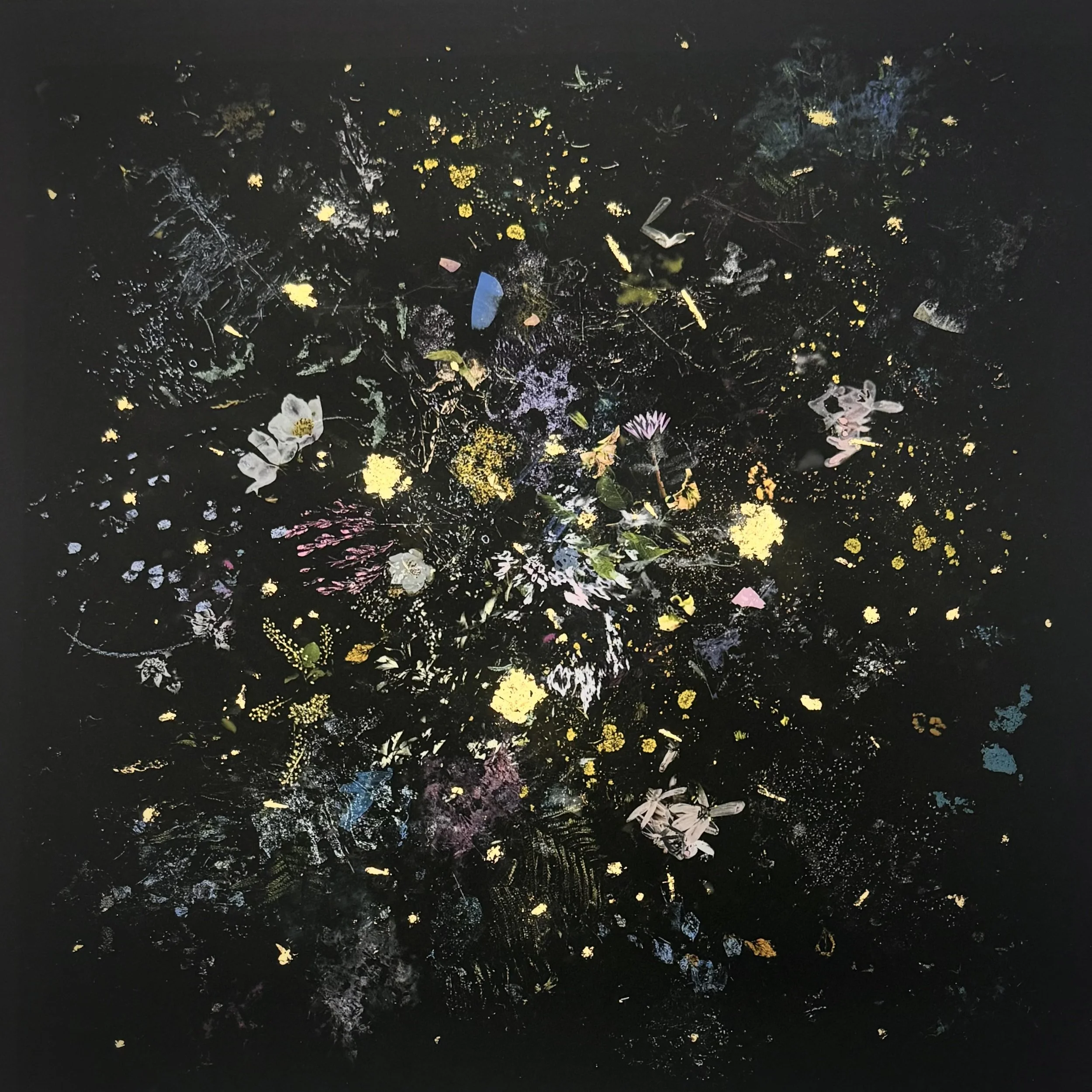 Gabriela Garcia-Luna  |  Reecho-I