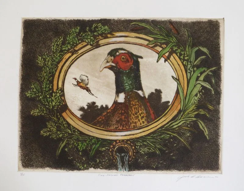 Jack Cowin | Ring-Necked Pheasant