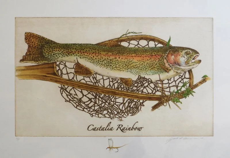 Jack Cowin | Castalia Rainbow