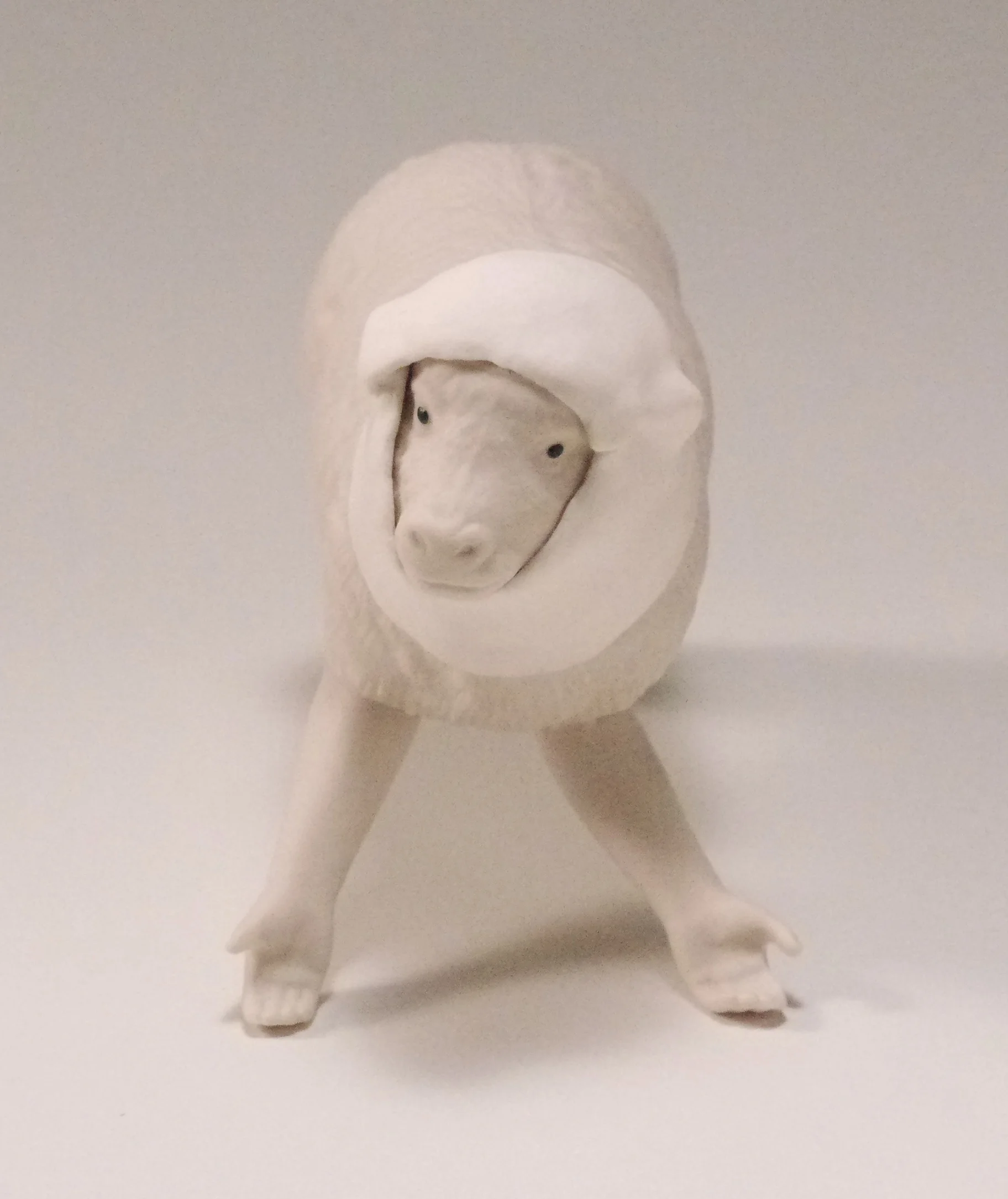 Janet Macpherson | The Fold