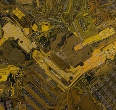 Wally Dion | Thunderbird Wing 