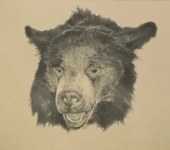 Jack Cowin | Bear