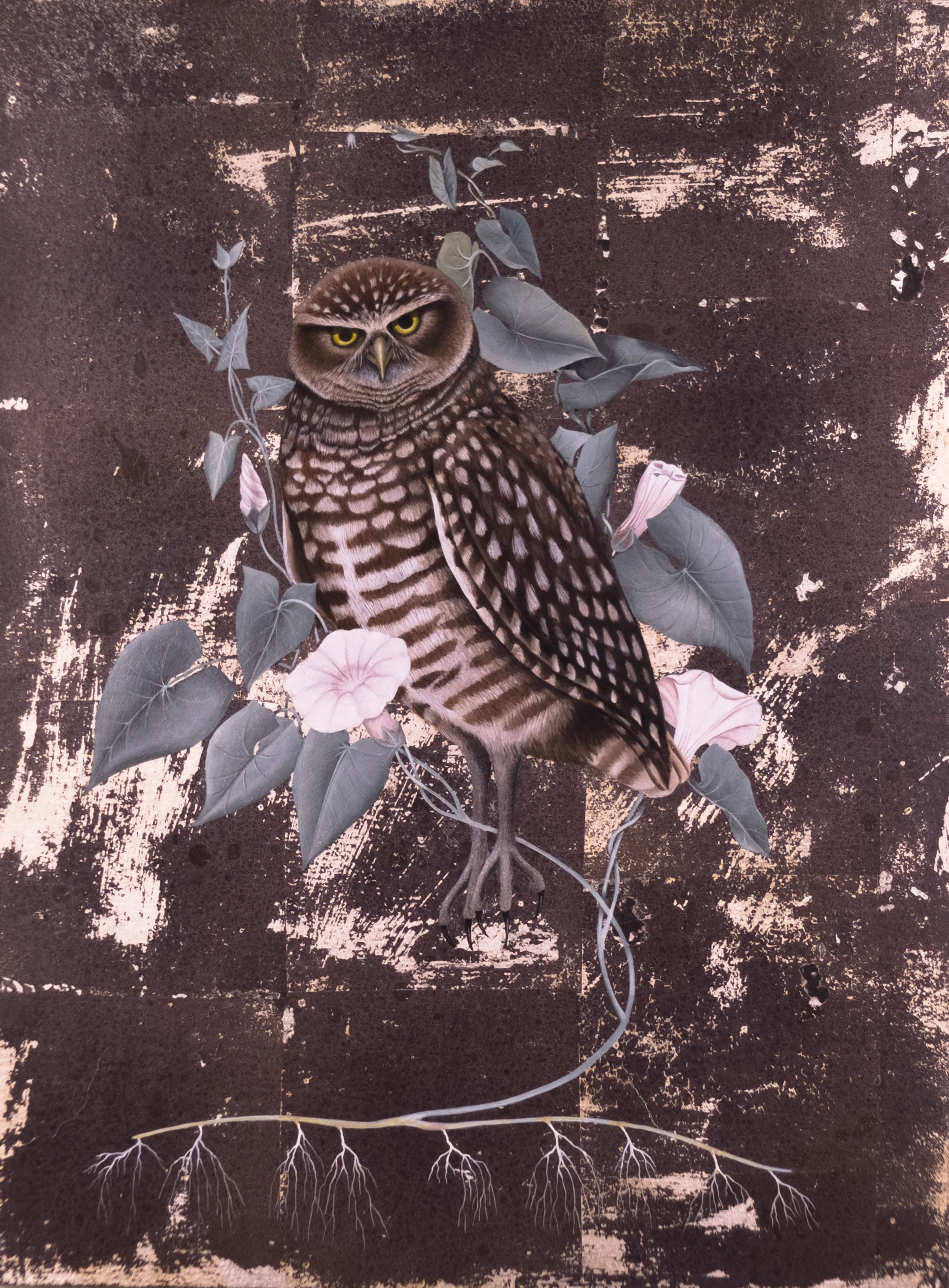 Marsha Kennedy | Burrowing Owl with Invasive Field Bindweed