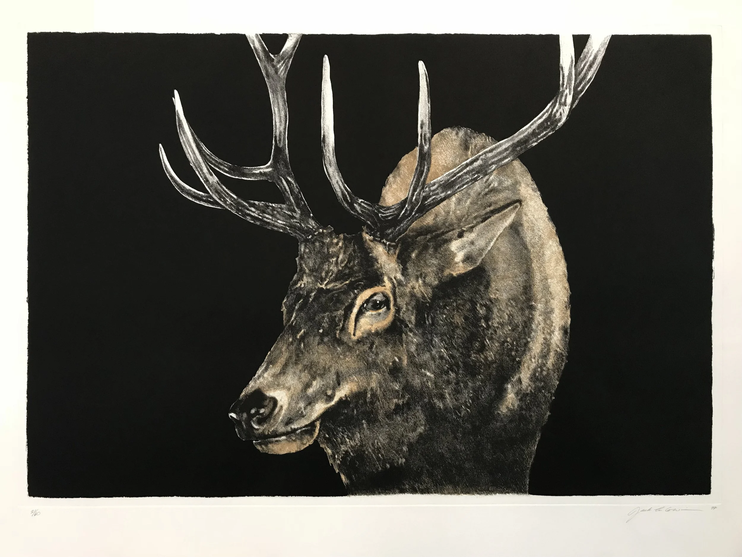 Jack Cowin | Wapiti