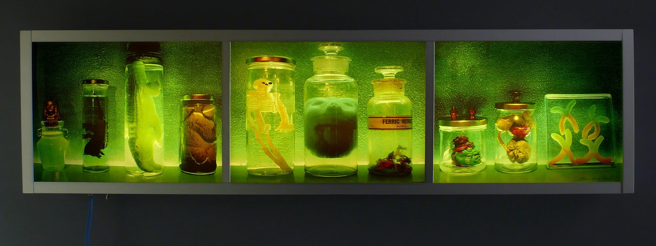 GreenandGoldLab.jpg