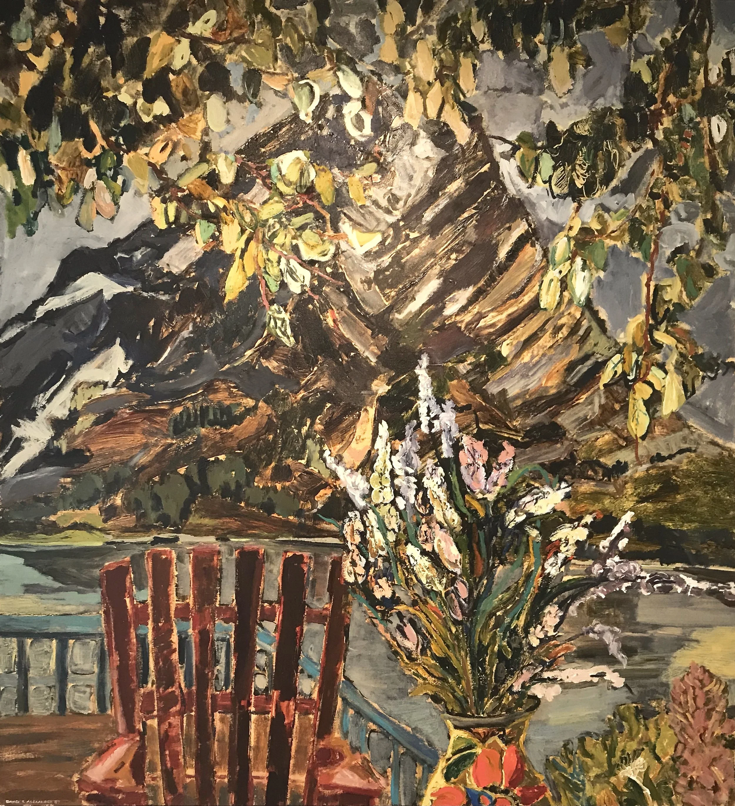 David Alexander | Domestic Viewpoints 