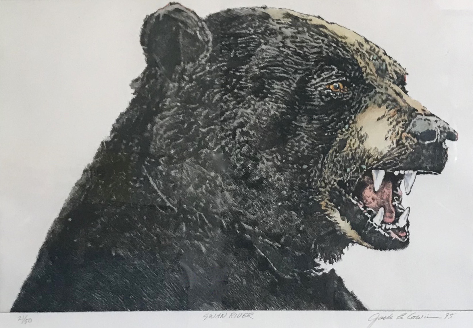 Jack Cowin | Swan River 