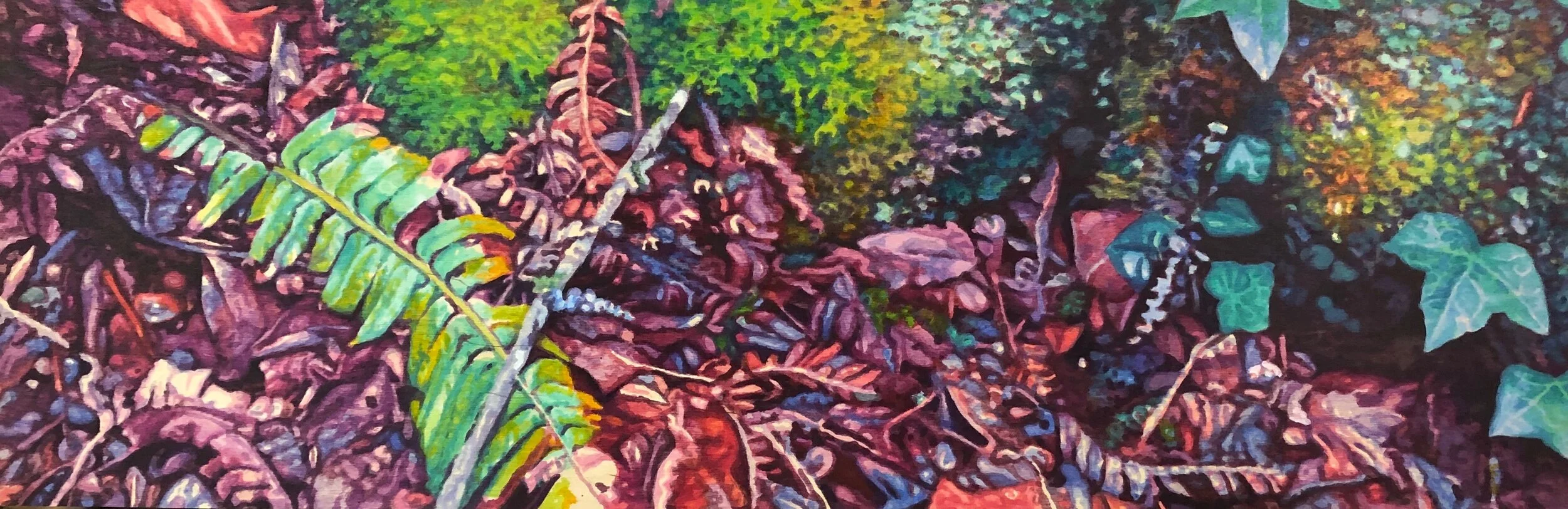 Ward Schell |&nbsp;&nbsp;Forest Fringe&nbsp;