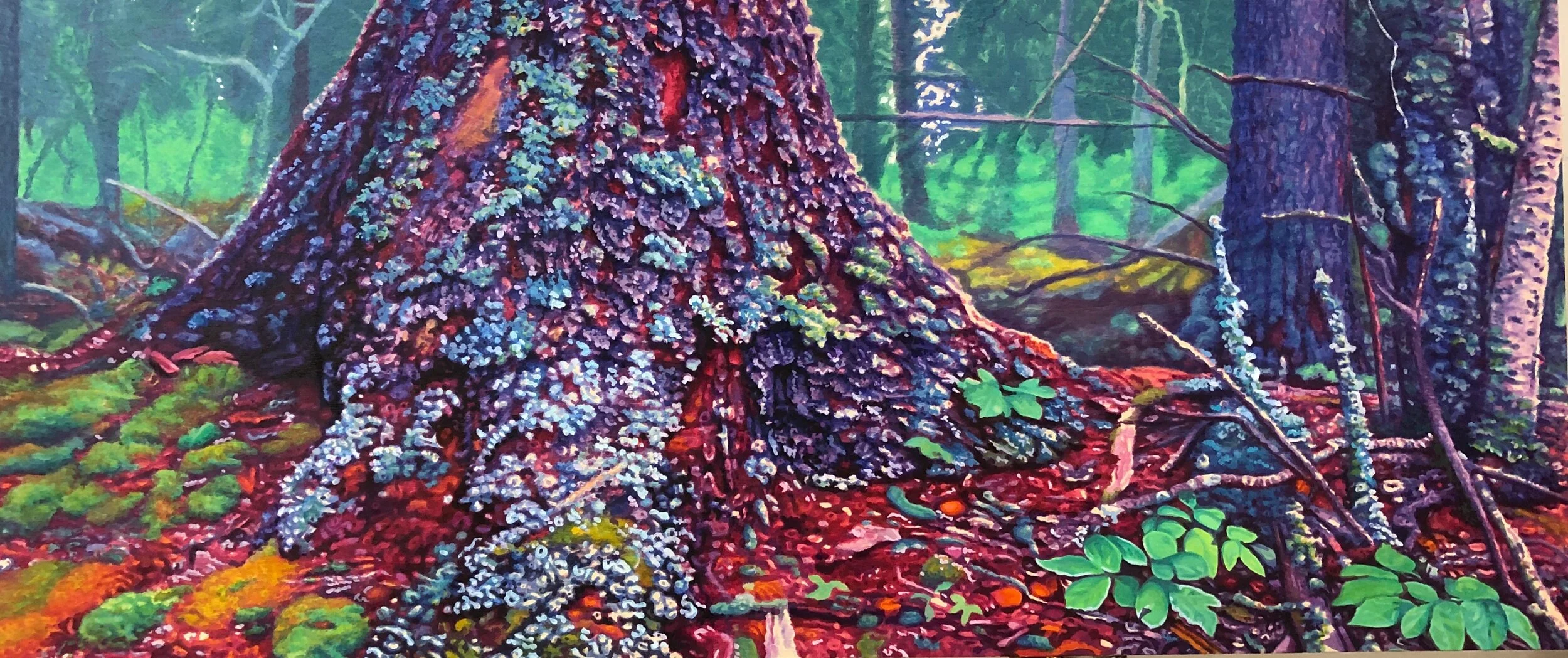 Ward Schell&nbsp;|&nbsp;Forest Majestic