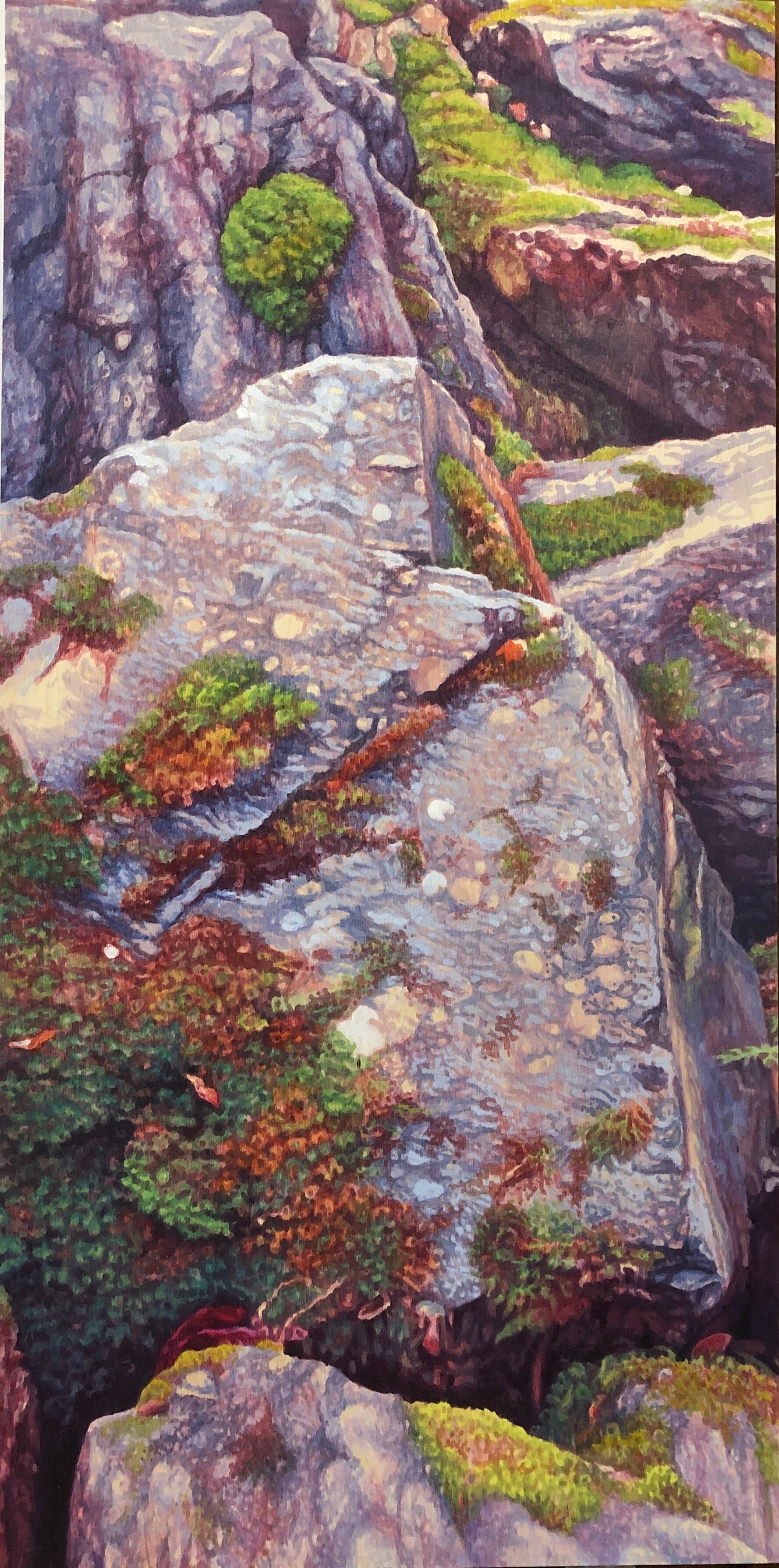 Ward Schell | Rough Terrain with Moss 