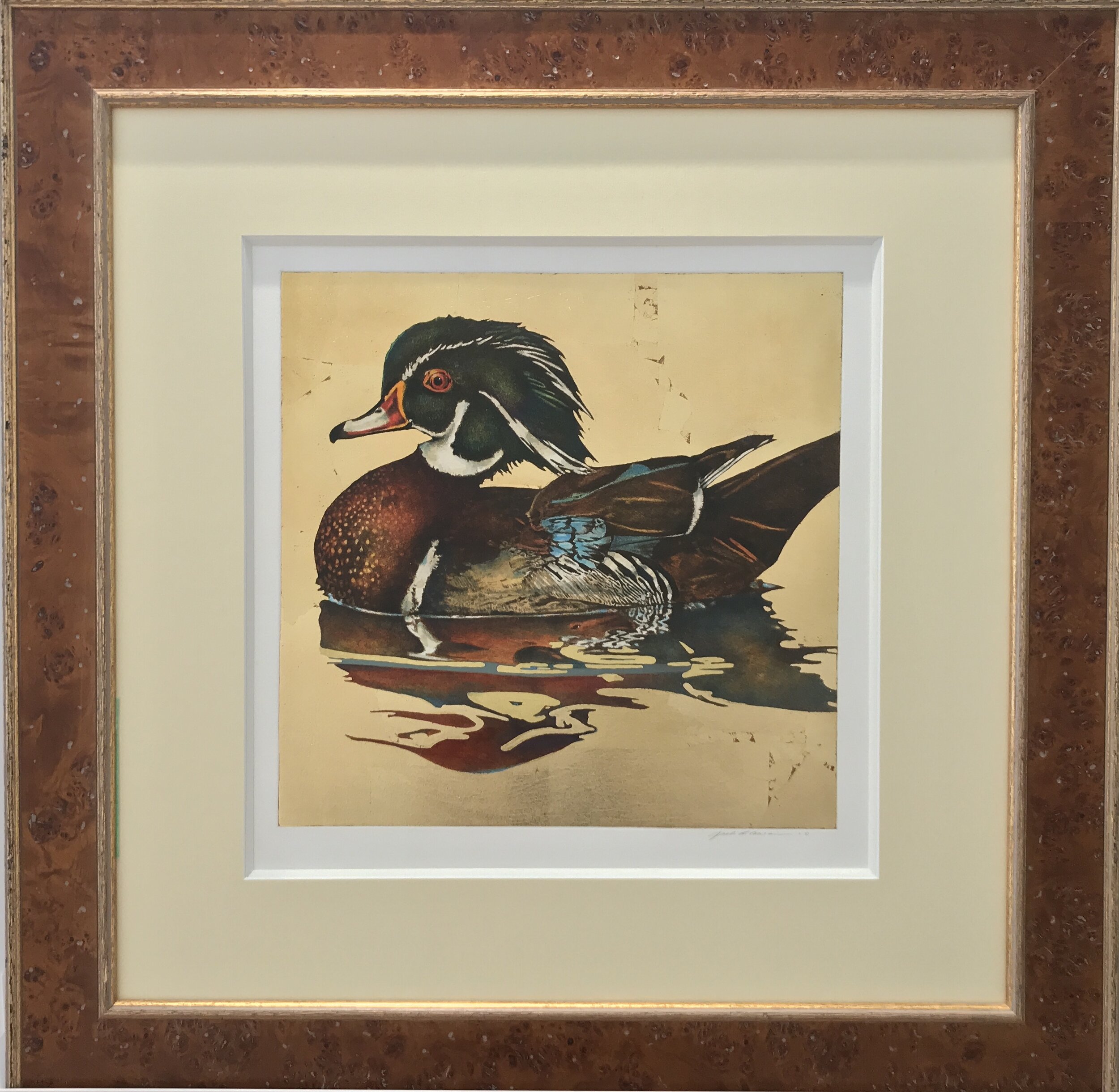 Jack Cowin | Wood Duck 