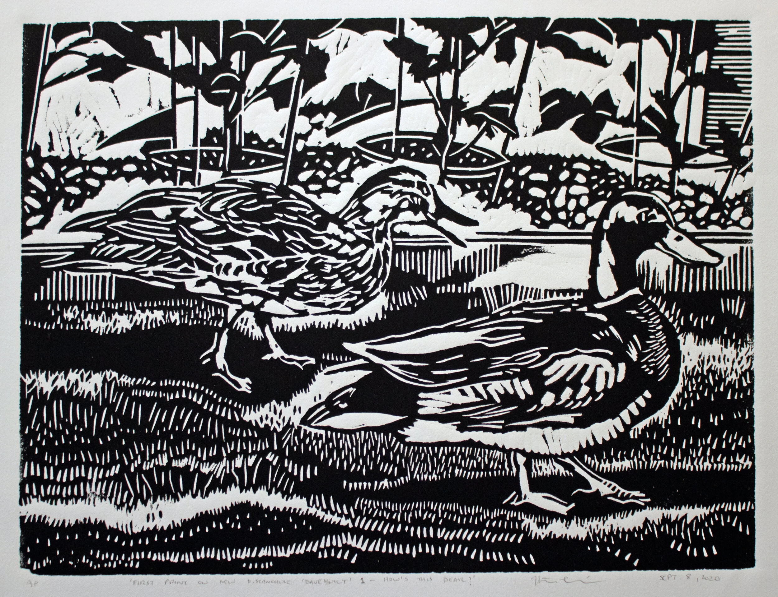 P09 How's This Dear?.jpeg