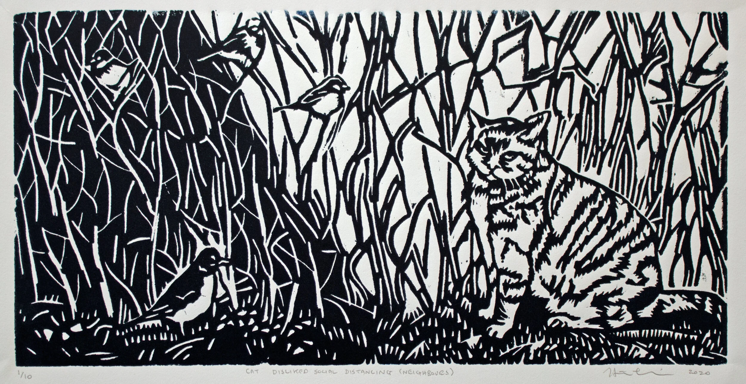 P010 Cat Disliked Social Distancing.jpeg