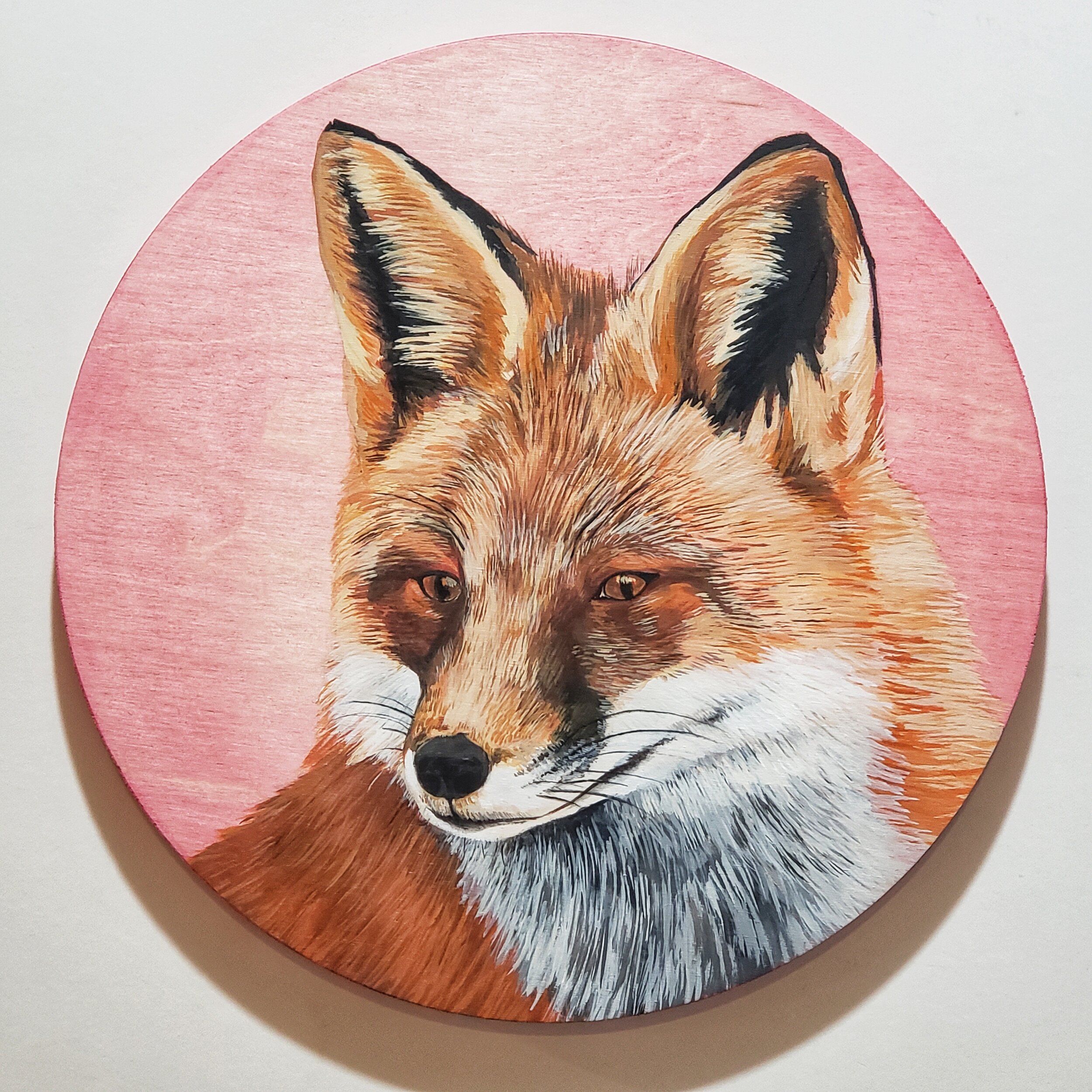 Belinda Harrow | Eddie