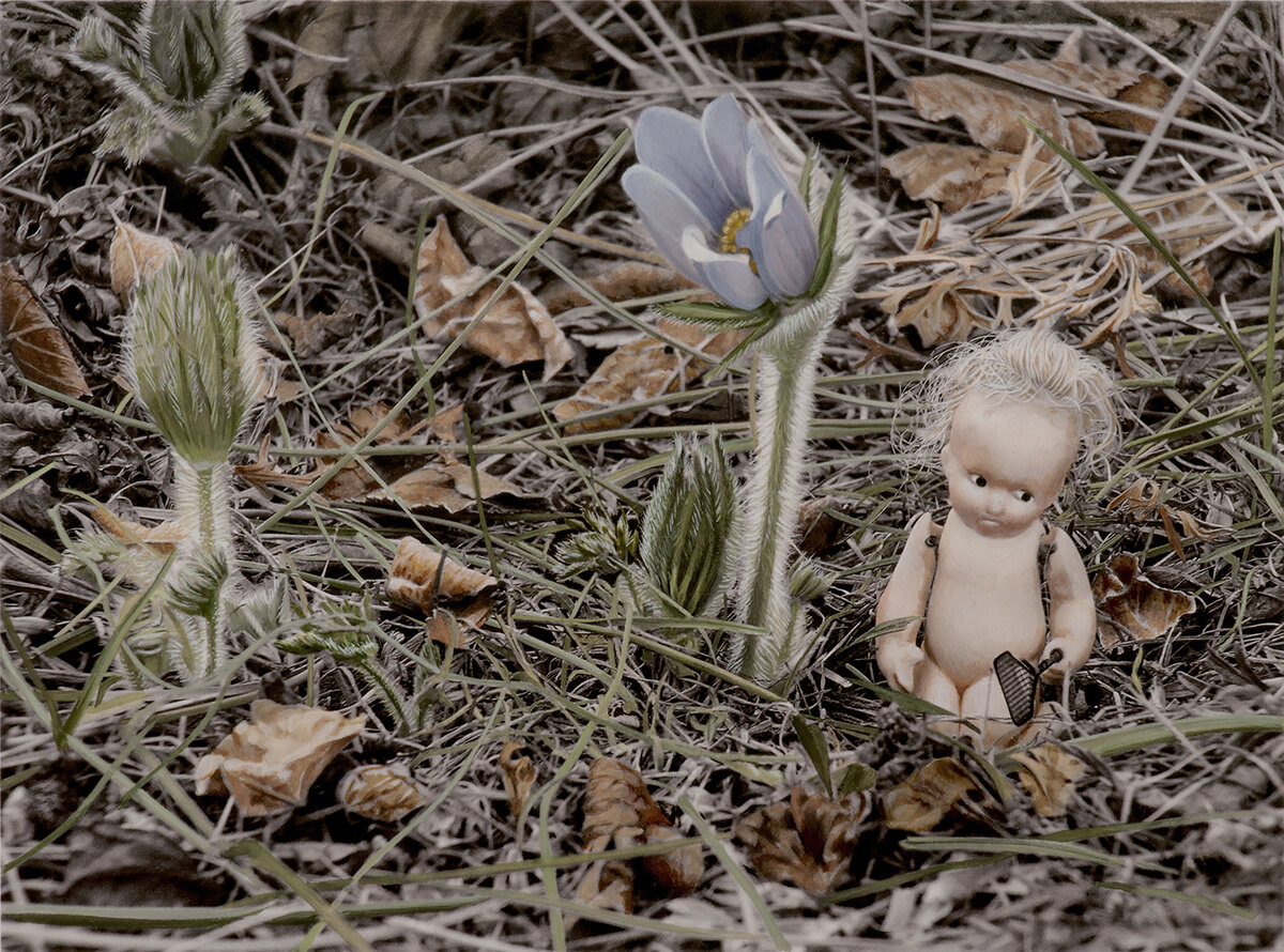 Marsha Kennedy | Spring of 2020 #2 