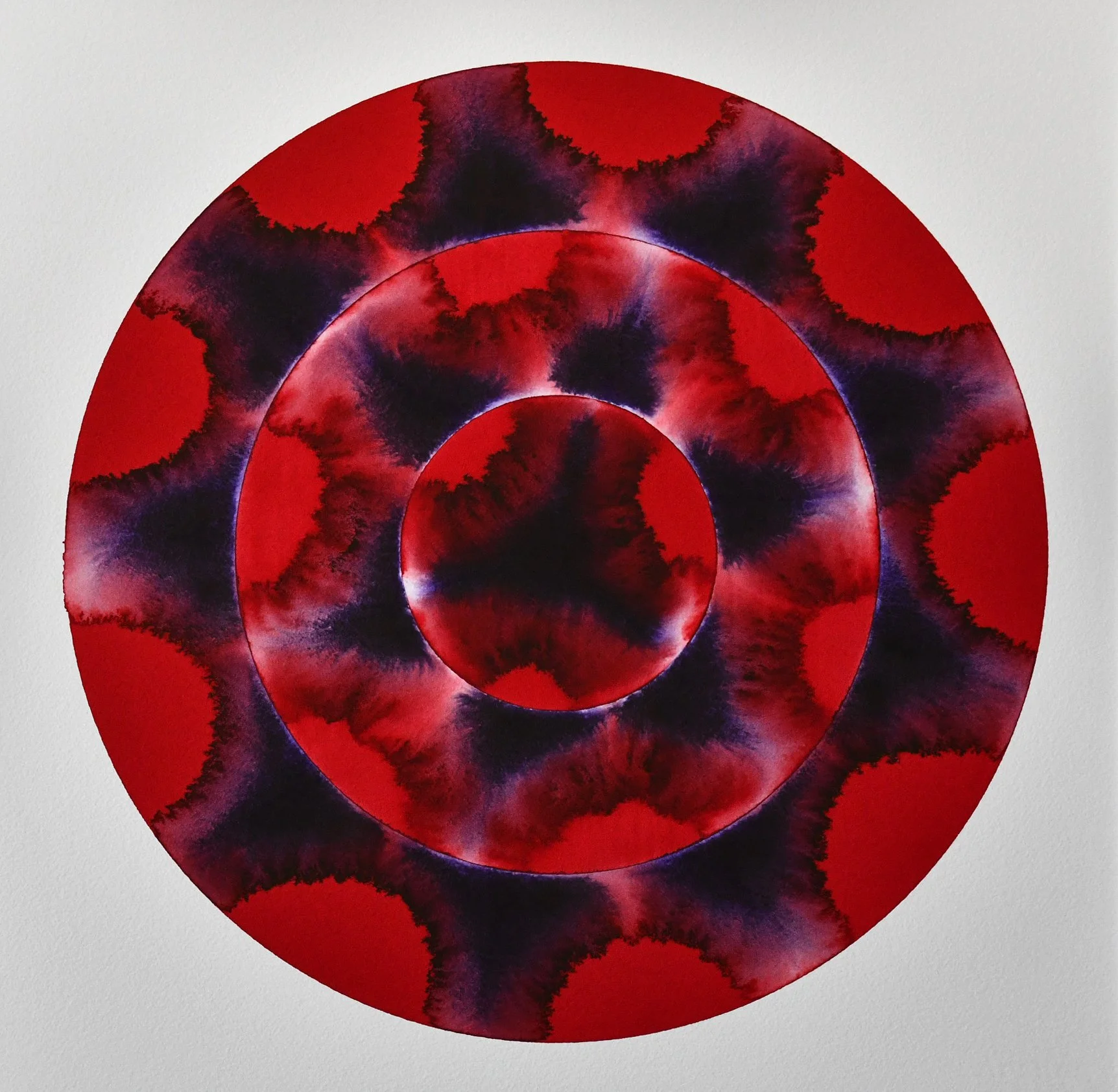 Zane Wilcox | Emergence