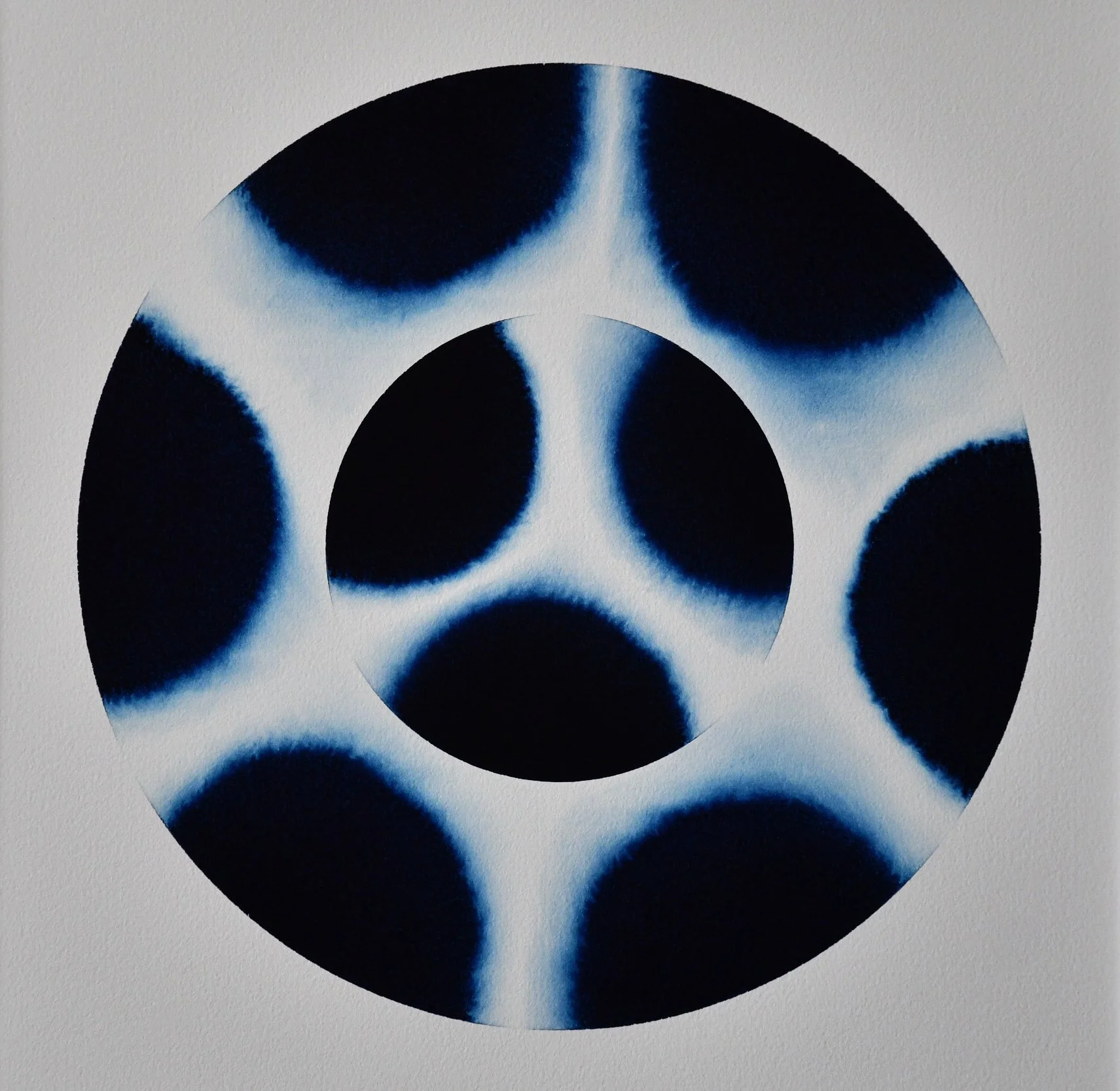 Zane Wilcox |  Aperture